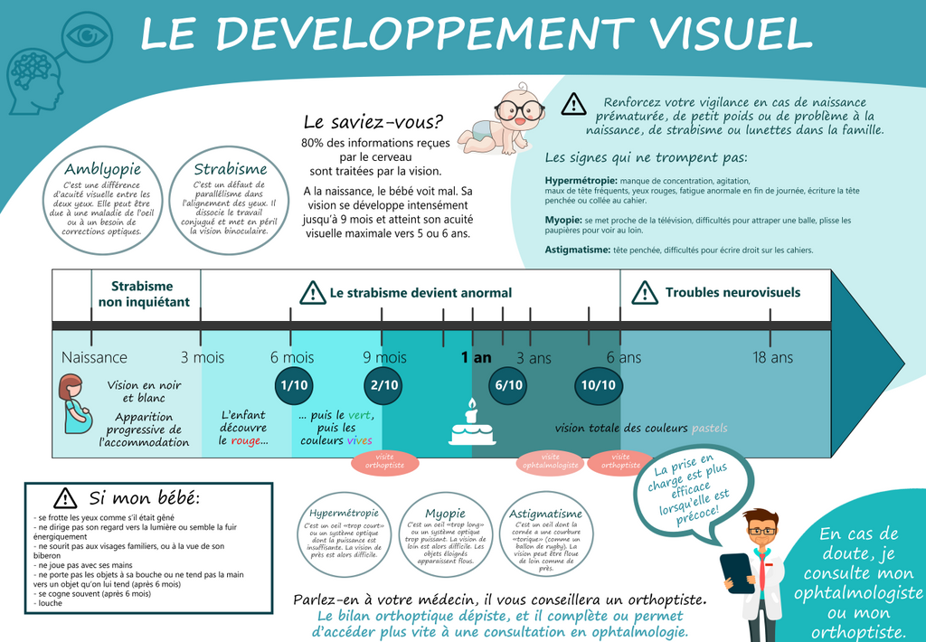 Antoine ROCH Le developpement visuel